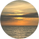 Dani profile picture