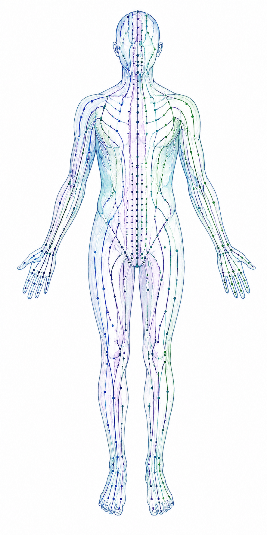 Meridian Channels and the Primo Vascular System Conduit